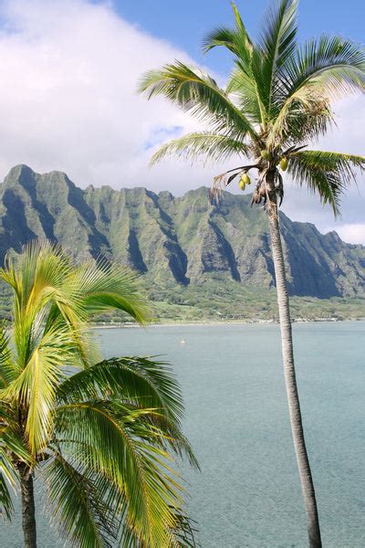 American Samoa National Park Hiking Trails: Our Top 5 Favorite Hikes