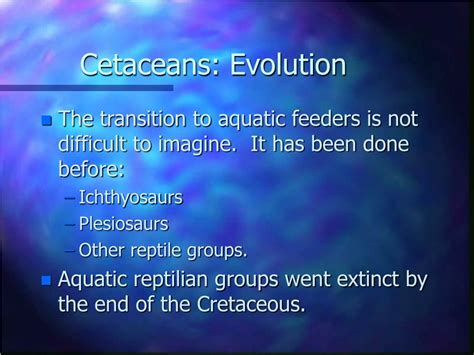 PPT - Cetaceans PowerPoint Presentation, free download - ID:100887