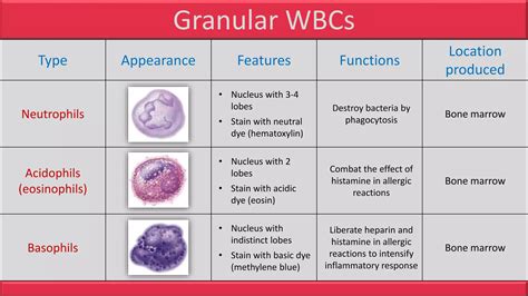 blood composiotion blood physiology pptx