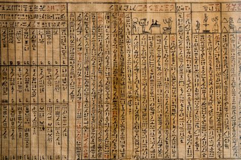O Que Significa Papiro - Papiro: quando surgiu, usos, como era feito - História do Mundo