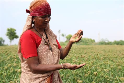 Solar Power And Agriculture Taro Pumps