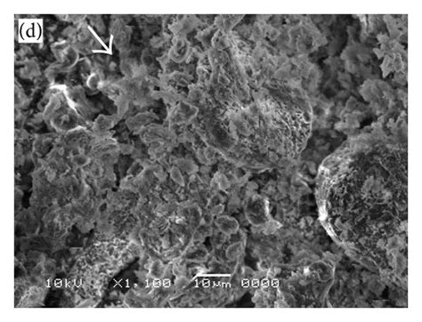 Sem Micrographs Of Alloys And A As Received Alloy