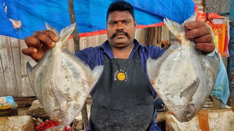 KASIMEDU SPEED SELVAM WHITE POMFRET FISH CUTTING VIDEO 4K VIDEO