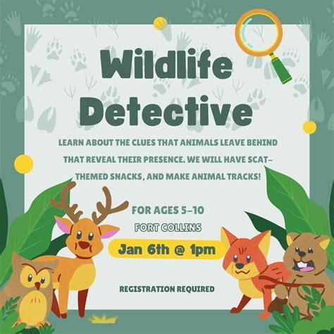 Wildlife Detective — Northern Colorado Wildlife Center