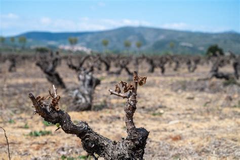 En Lozère et dans l Aude des aides exceptionnelles pour les