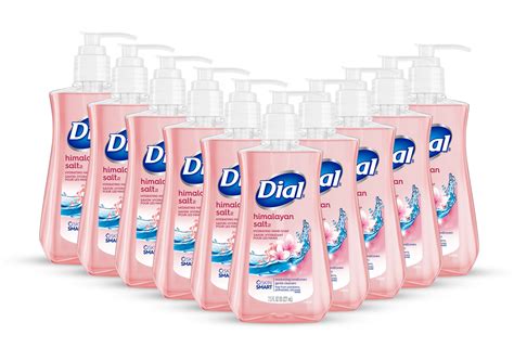 Dial Himalayan Salt Hand Soap Gentle On Skin 75 Ounce Liquid Pack