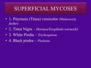 Mycoses | PPT