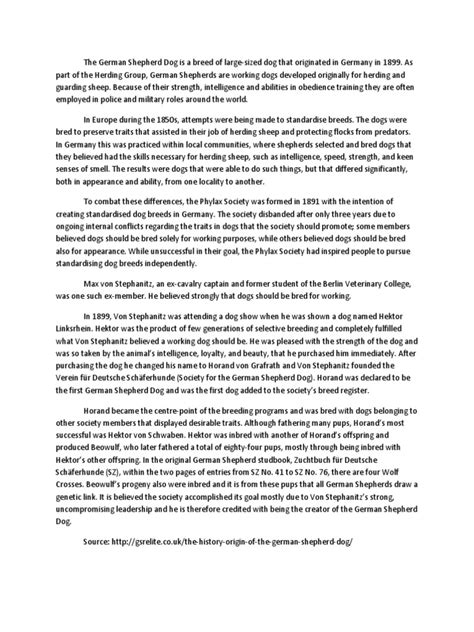 History of The German Shepherd | PDF | German Shepherd | Animal Breeds