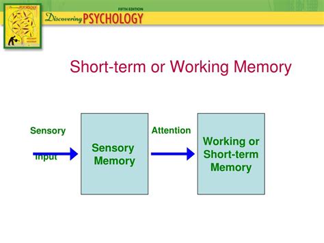 Ppt Chapter 6 Memory Powerpoint Presentation Free Download Id5639891