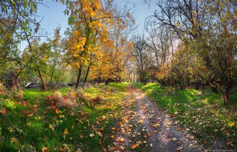 The fall on the island of Khortytsia · Ukraine travel blog