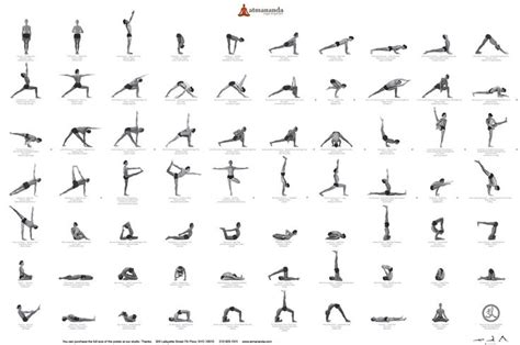 Ashtanga Vinyasa Postures Vinyasa Yoga Poses Yoga Poses Pictures