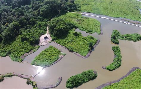 Kranji Marshes Singapore — Stephen Caffyn Landscape Design