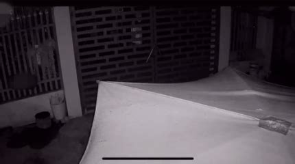 Ch Ng Trai L Nh S Ng L Ng Khi Ph T Hi N Th M Nh T Ng Tr Ng Kh Ng Ph I Ng I Hot Trend I