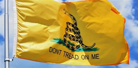 Don’t Tread on Me Meaning, Origin, Use Cases, & More