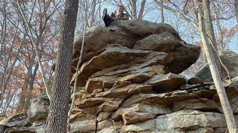 Daniel Boone National Forest Redbird Crest Trail Bear Creek Trailhead Day 2 11 22 21 Youtube