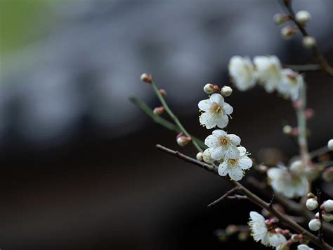 Silent Afternoon Moment Photograph By Yuka Kato Fine Art America