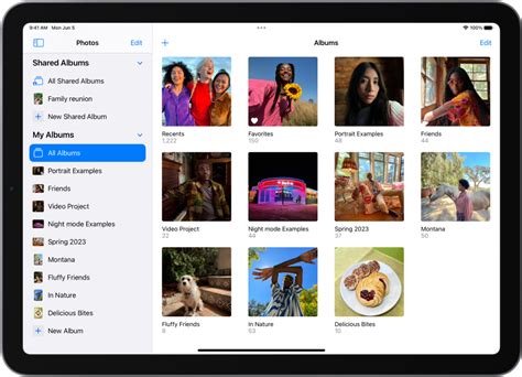 apple ipad  app view       ipad ozix