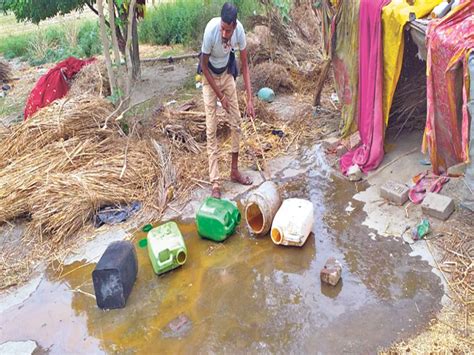 800 लीटर अर्द्ध निर्मित देसी शराब व 500 लीटर तारी जब्त किया नष्ट 800 Liters Of Semi