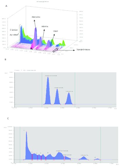 A Densitometric Scan Of Standard Track And Ganoderma Lucidum Aqueous