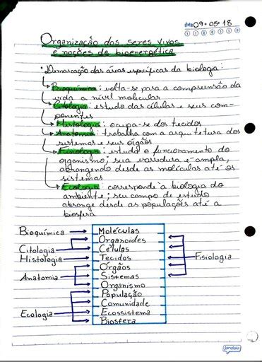 Biology Notes Studying Amino Amino