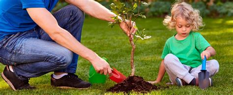 Consejos Para Cuidar Plantas De Exterior Canalhogar