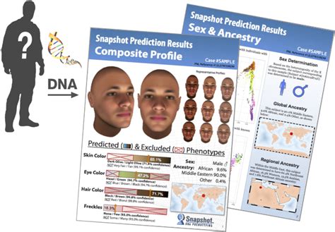 Police Can Construct An Identikit Face From Dna Cosmos Magazine