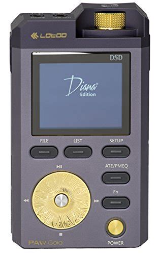 15 Best Hi Res Audio & HD Music Player's for Audiophile's (Updated ...