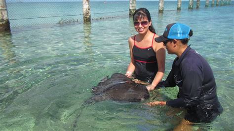 Stingray Beach Cozumel Mexico Youtube