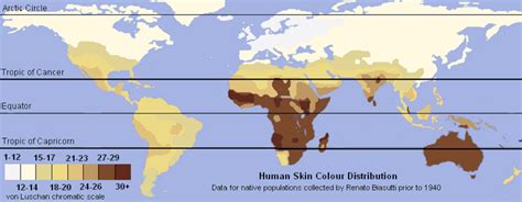 Unlabeled Renatto Luschan Skin Color Map Escala Cromática De Von