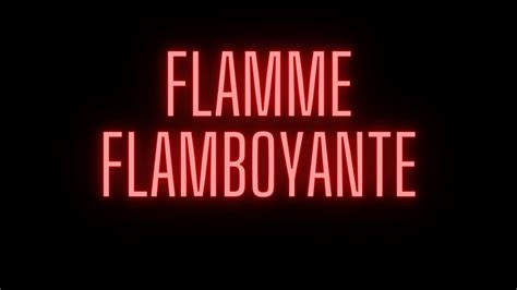 Qu Te Principal Magnus R Soudre L Erreur Flamme Flamboyante Youtube