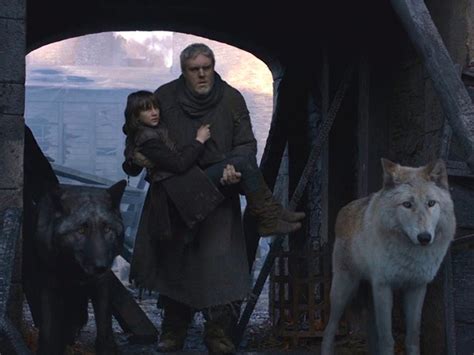 Do The Names Of The Direwolves In Game Of Thrones Actually Predict The Starks Fates