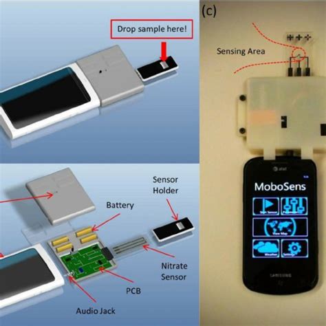 Sensor Electrodes And Fabrication Process A Schematic Showing The