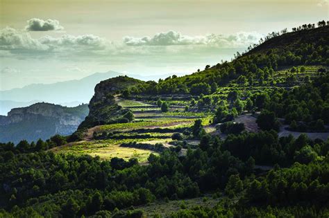 Los Terroirs Del Mundo Priorato Priorat La Canaster A