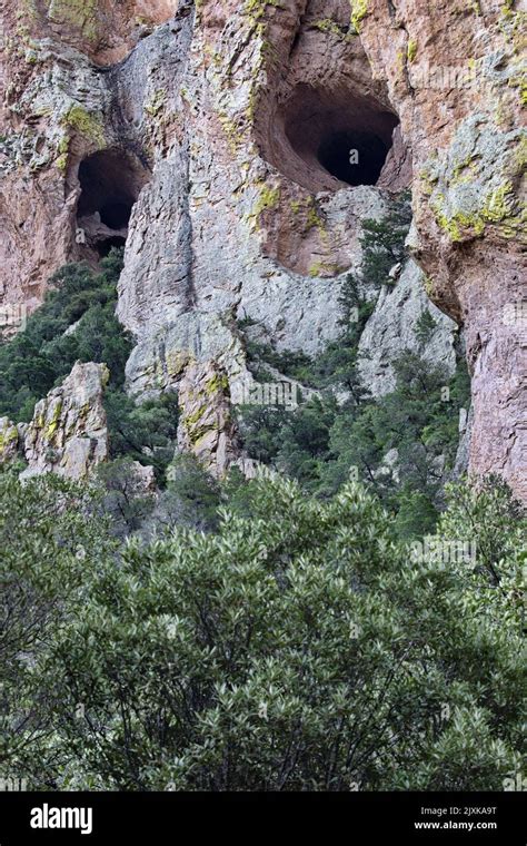 Old Man Of The Mountain Face With Dark Eyes And Green Beard In Rock