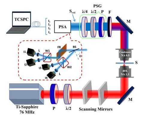 Schematic Diagram Of Polarization Resolved Second Harmonic Generation