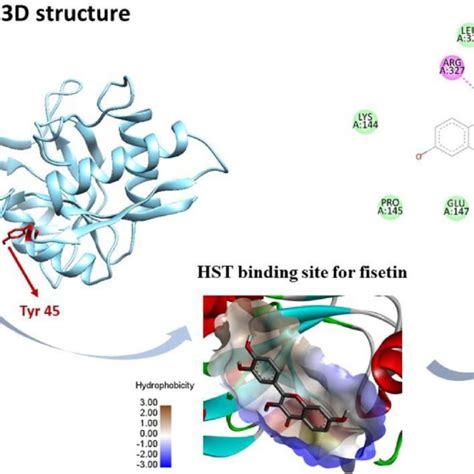 Scheme 1. The chemical structure of fisetin... | Download Scientific ... 