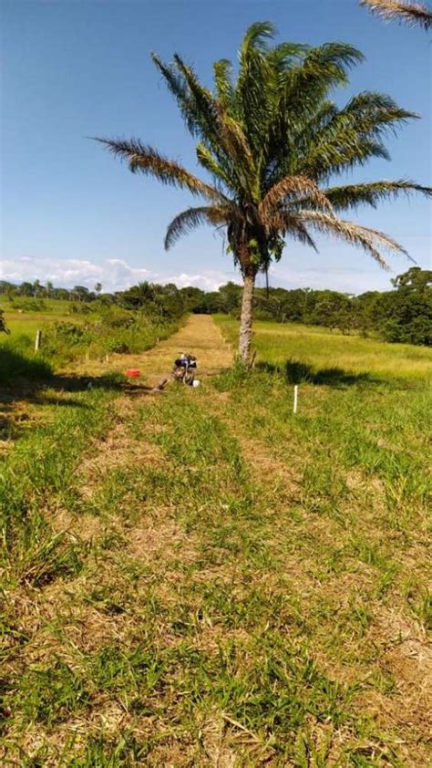 Terreno En Venta Urb Buena Vista En Santa Cruz Terrenos 206197