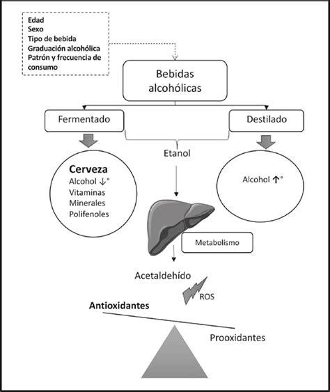 Sabemos Lo Que Es Un Consumo Moderado De Alcohol El Caso Particular