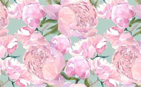 Watercolor Peony Wallpapers Top Free Watercolor Peony Backgrounds