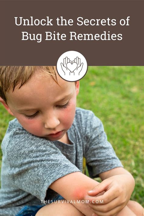 Beat the Bugs: Unlock the Secrets of Bug Bite Remedies - The Survival Mom