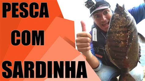 Pesca Com Sardinha Segredos De Pesca Youtube