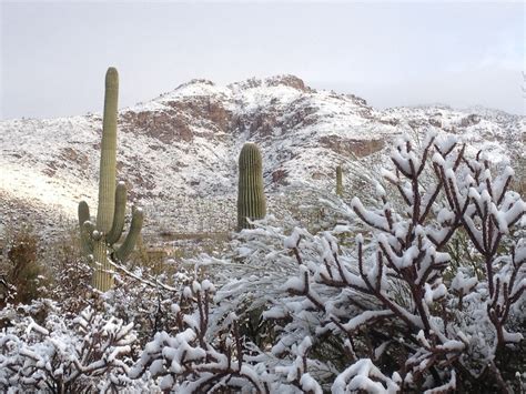 Arizona Families: Snow in Arizona WW