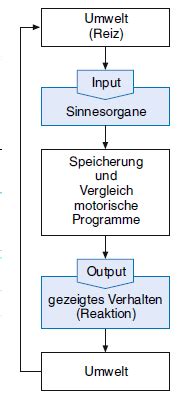 AP2 2 Lernen Klassische Konditionierung Karteikarten Quizlet