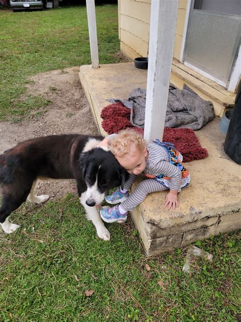 Valdosta ga/lake park pets for free ( free only ) | “Love your dog