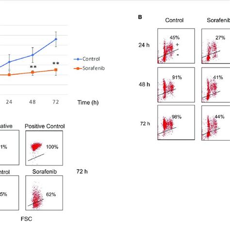 Sorafenib Inhibits Cell Growth And Cell Proliferation Viability