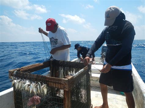 Biodiversidad Marina En Riesgo Ante La Pesca Artesanal Tu Espacio