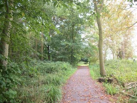 Hanningfield Reservoir Nature Reserve - Woodland Trust