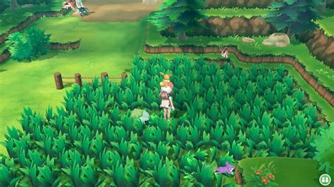 How And Where To Find Rare Spawns In Pokemon Let S Go Shacknews