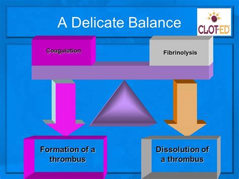 Fibrinolysis Diagram Quizlet