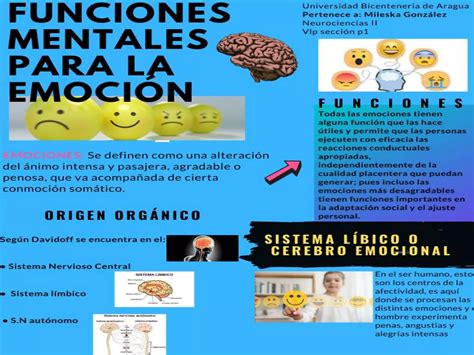 Infografias Funciones Mentales Para La Emocion PPT